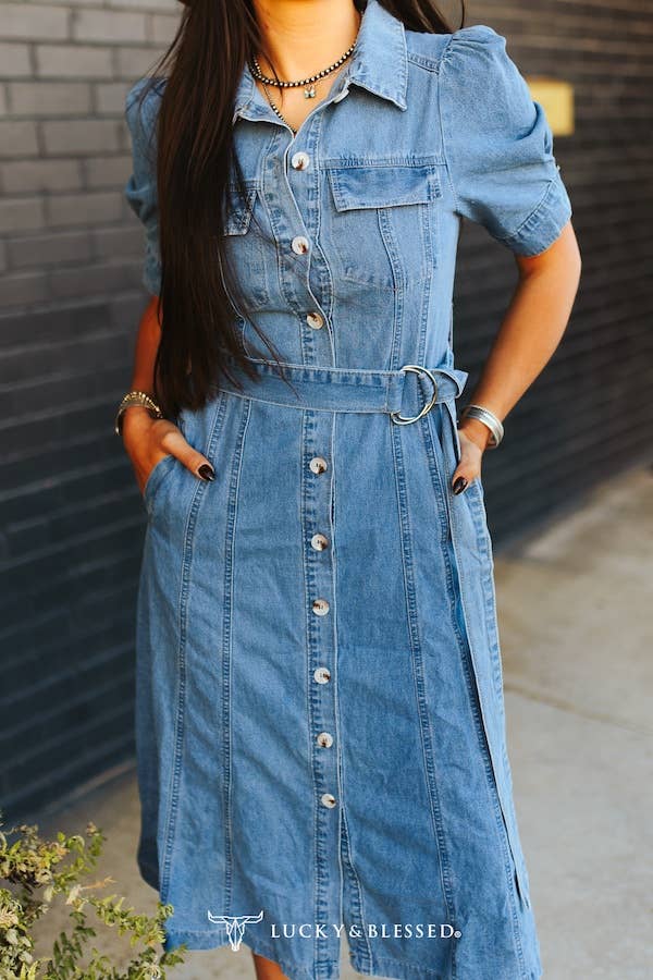 Button Down Belted Denim Dress