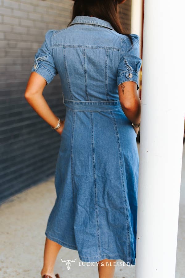 Button Down Belted Denim Dress